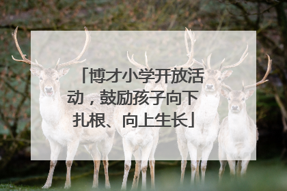 博才小学开放活动，鼓励孩子向下扎根、向上生长