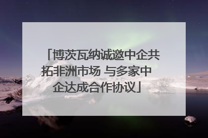 博茨瓦纳诚邀中企共拓非洲市场 与多家中企达成合作协议