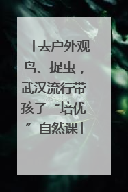 去户外观鸟、捉虫，武汉流行带孩子“培优”自然课