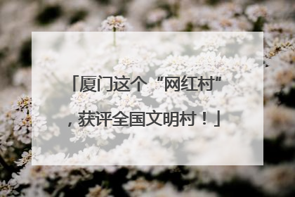 厦门这个“网红村”，获评全国文明村！