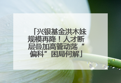 兴银基金洪木妹规模再降！人才断层叠加高管动荡“偏科”困局何解