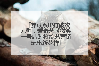 养成系IP打破次元壁，爱奇艺《微笑一号店》将综艺营销玩出新花样