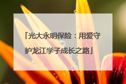 光大永明保险：用爱守护龙江学子成长之路