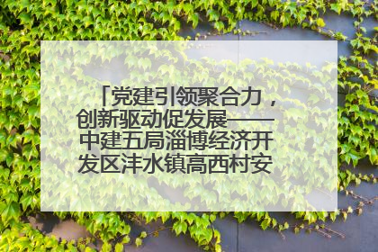 党建引领聚合力，创新驱动促发展——中建五局淄博经济开发区沣水镇高西村安置项目建设纪实