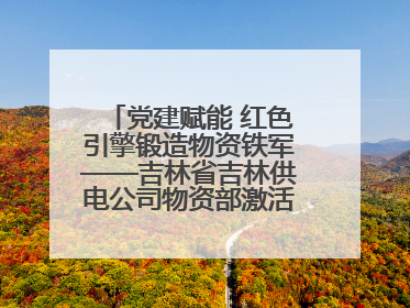 党建赋能 红色引擎锻造物资铁军——吉林省吉林供电公司物资部激活供应链新动能