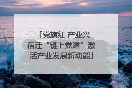 党旗红 产业兴 宿迁“链上党建”激活产业发展新动能