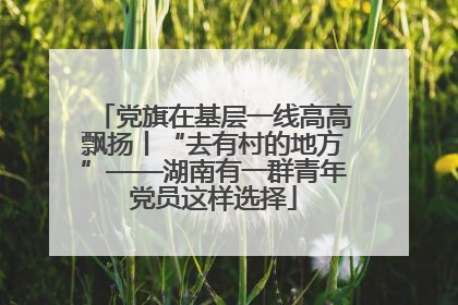 党旗在基层一线高高飘扬丨“去有村的地方”——湖南有一群青年党员这样选择