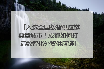 入选全国数智供应链典型城市！成都如何打造数智化外贸供应链