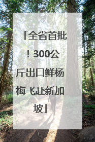 全省首批！300公斤出口鲜杨梅飞赴新加坡