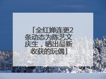 全红婵连更2条动态为陈艺文庆生，晒出最新收获的玩偶