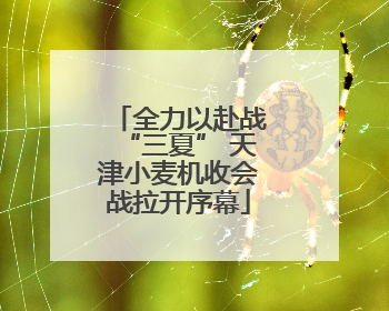 全力以赴战“三夏” 天津小麦机收会战拉开序幕