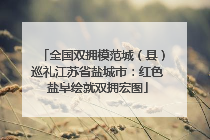 全国双拥模范城（县）巡礼江苏省盐城市：红色盐阜绘就双拥宏图