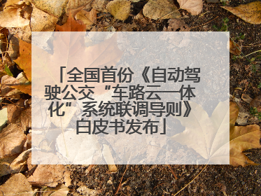 全国首份《自动驾驶公交“车路云一体化”系统联调导则》白皮书发布