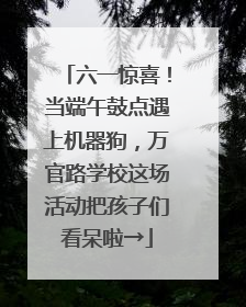 六一惊喜！当端午鼓点遇上机器狗，万官路学校这场活动把孩子们看呆啦→