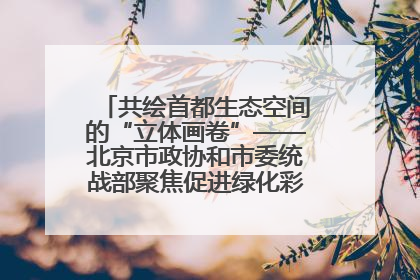共绘首都生态空间的“立体画卷”——北京市政协和市委统战部聚焦促进绿化彩化美化生态空间建设联合协商议政