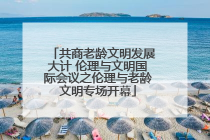 共商老龄文明发展大计 伦理与文明国际会议之伦理与老龄文明专场开幕