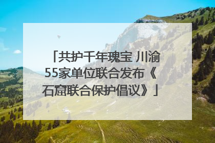共护千年瑰宝 川渝55家单位联合发布《石窟联合保护倡议》