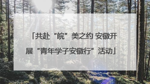 共赴“皖”美之约 安徽开展“青年学子安徽行”活动