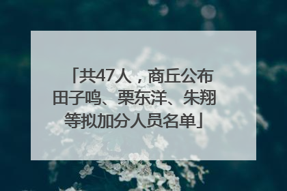 共47人，商丘公布田子鸣、栗东洋、朱翔等拟加分人员名单