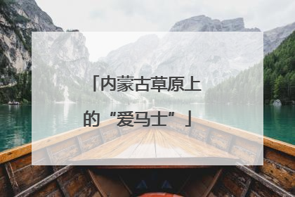 内蒙古草原上的“爱马士”