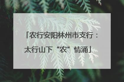 农行安阳林州市支行：太行山下“农”情涌