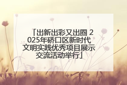 出新出彩又出圈 2025年硚口区新时代文明实践优秀项目展示交流活动举行
