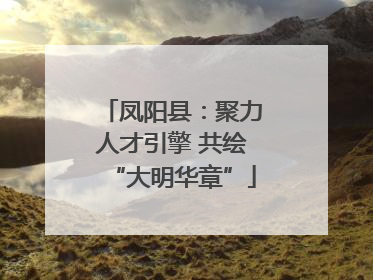 凤阳县：聚力人才引擎 共绘“大明华章”