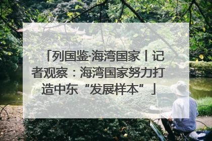 列国鉴·海湾国家丨记者观察：海湾国家努力打造中东“发展样本”