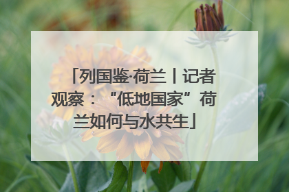列国鉴·荷兰丨记者观察：“低地国家”荷兰如何与水共生