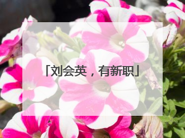 刘会英，有新职