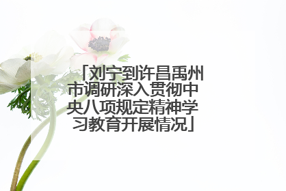 刘宁到许昌禹州市调研深入贯彻中央八项规定精神学习教育开展情况