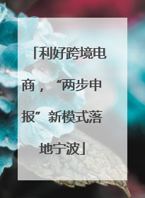 利好跨境电商，“两步申报”新模式落地宁波