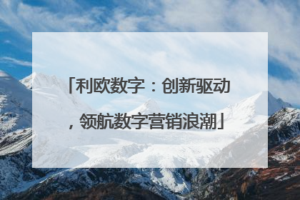 利欧数字：创新驱动，领航数字营销浪潮