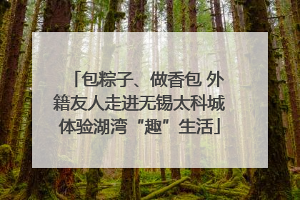 包粽子、做香包 外籍友人走进无锡太科城体验湖湾“趣”生活