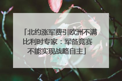 北约涨军费引欧洲不满 比利时专家：军备竞赛不能实现战略自主