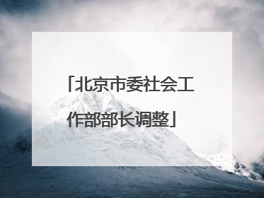 北京市委社会工作部部长调整