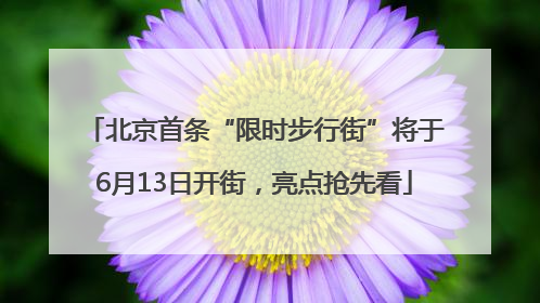 北京首条“限时步行街”将于6月13日开街，亮点抢先看