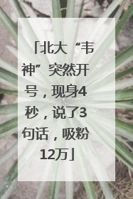 北大“韦神”突然开号，现身4秒，说了3句话，吸粉12万