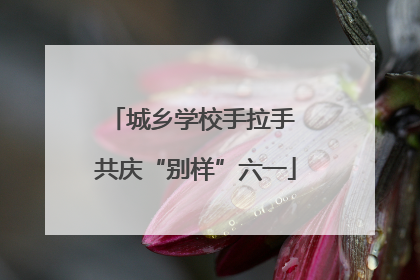 城乡学校手拉手 共庆“别样”六一