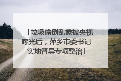 垃圾偷倒乱象被央视曝光后，萍乡市委书记实地督导专项整治