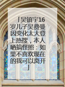 吴镇宇16岁儿子吴费曼因变化太大登上热搜，本人晒搞怪照：如果不喜欢现在的我可以离开