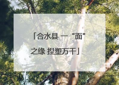 合水县 一“面”之缘 捏塑万千