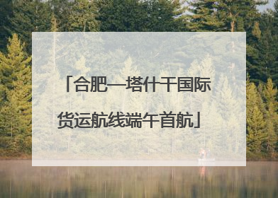 合肥—塔什干国际货运航线端午首航