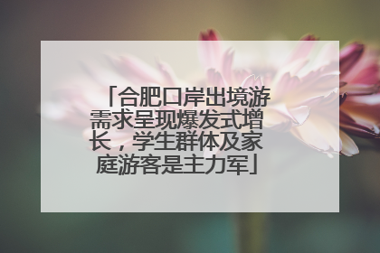 合肥口岸出境游需求呈现爆发式增长，学生群体及家庭游客是主力军