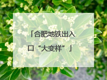 合肥地铁出入口“大变样”