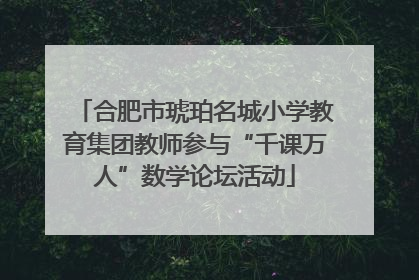 合肥市琥珀名城小学教育集团教师参与“千课万人”数学论坛活动