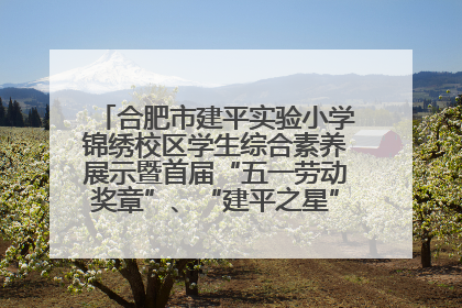 合肥市建平实验小学锦绣校区学生综合素养展示暨首届“五一劳动奖章”、“建平之星”颁奖典礼圆满举办