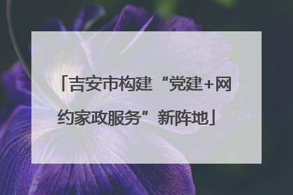 吉安市构建“党建+网约家政服务”新阵地