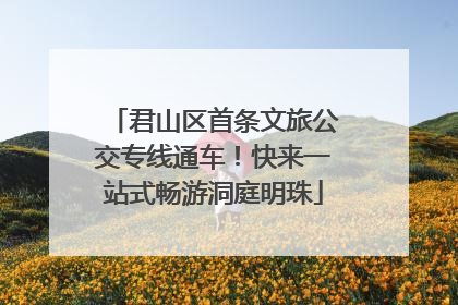 君山区首条文旅公交专线通车！快来一站式畅游洞庭明珠