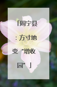 周宁县：方寸地变“增收园”